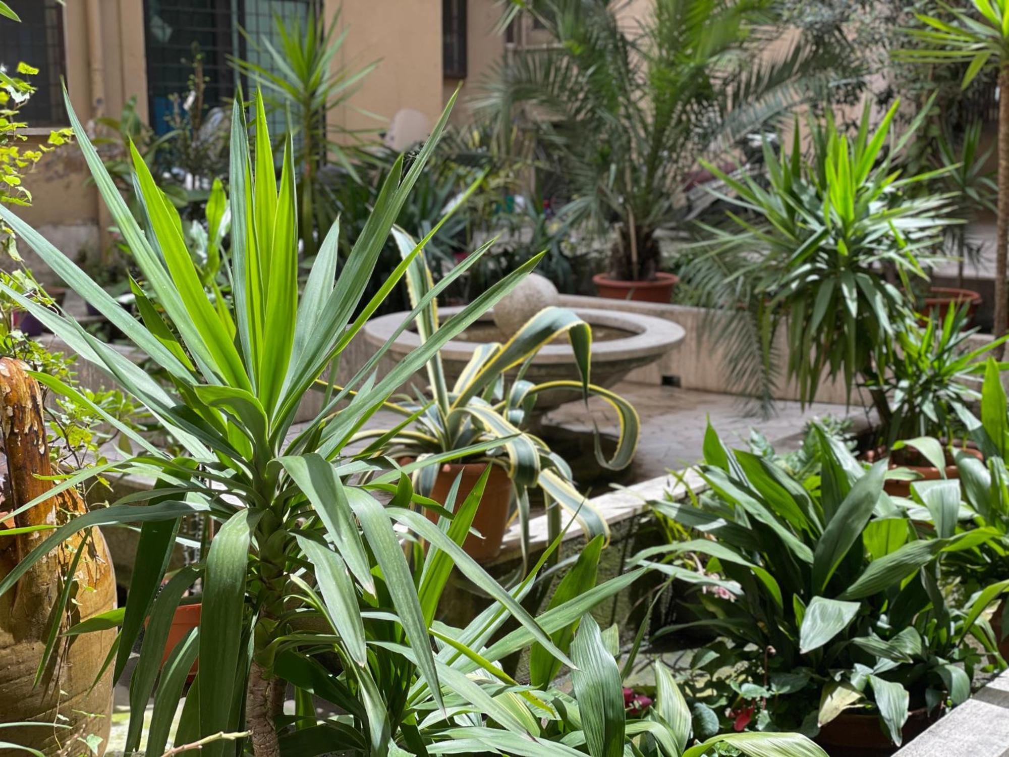 Home Sweet Rome Vatican Екстериор снимка